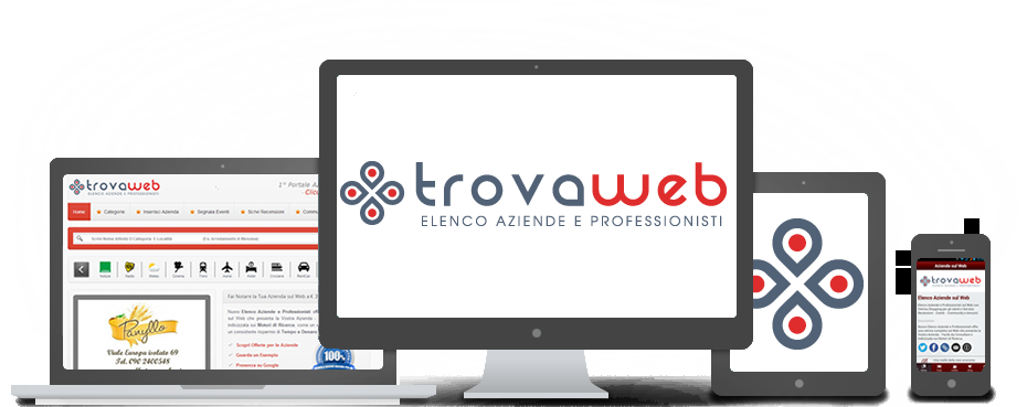Aziende e Professionisti sul Web